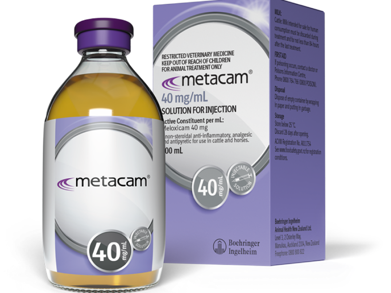 METACAM for Disbudding | Future Producers